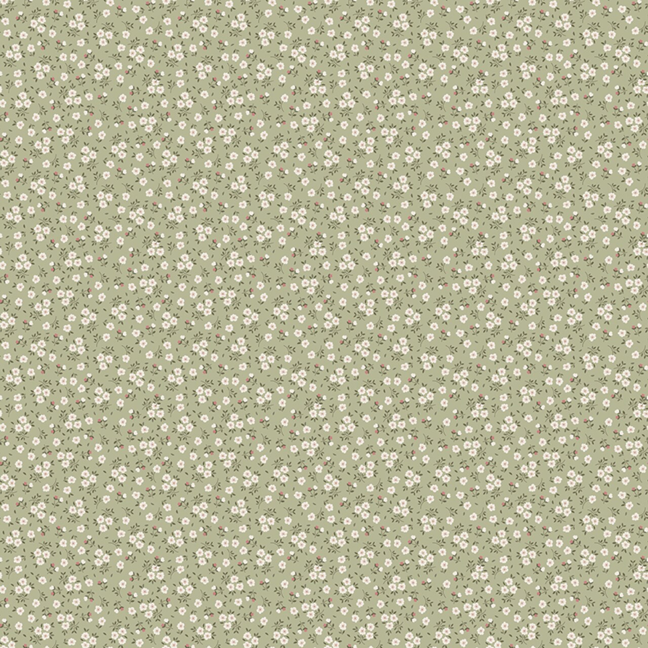 Ditsy in Sage (c16126-sage) | Anne of Green Gables | Riley Blake Designs | Riley Blake